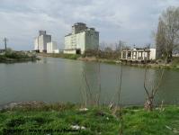 Imagine atasata: Bega - 2014.03.23 - 03.jpg